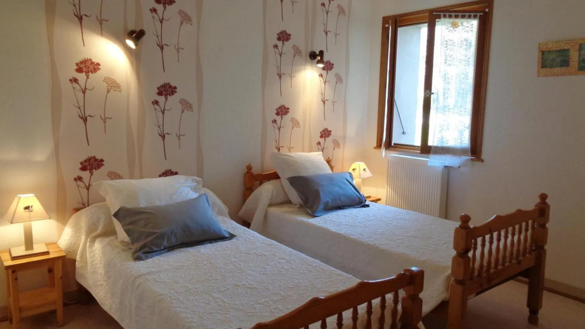 Gite De Charme En Rhone-Alpes : Terrasse, Cheminee, Jardin, Ideal Famille, Accessible Pmr - Fr-1-496-93 Saint-Priest-la-Prugne
