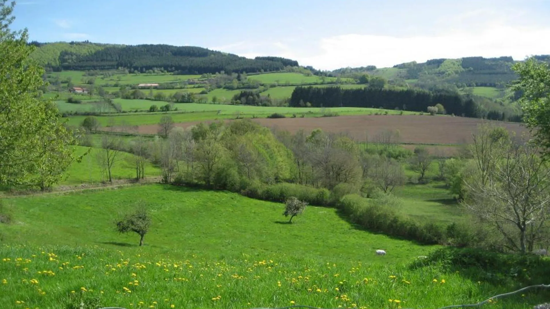 Gite De Charme En Rhone-Alpes : Terrasse, Cheminee, Jardin, Ideal Famille, Accessible Pmr - Fr-1-496-93 Saint-Priest-la-Prugne 別荘